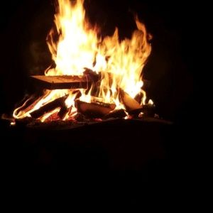 Meet your Posher, Ariel